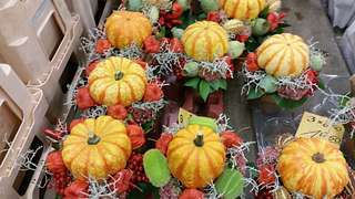 Herbstliche Impressionen auf dem Blumengrossmarkt Düsseldorf